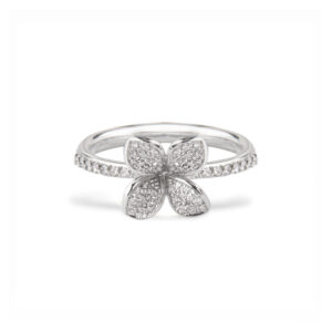 Anillo Giglio