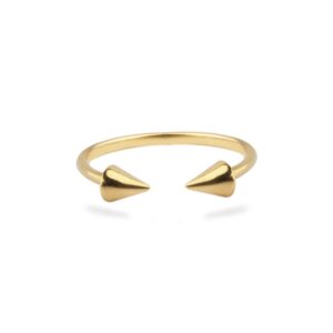 Anillo Frecce
